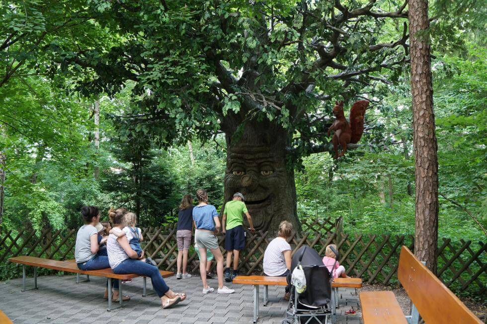 Familien vor einem Baum mit Gesicht und Eichhörnchen auf dem Ast