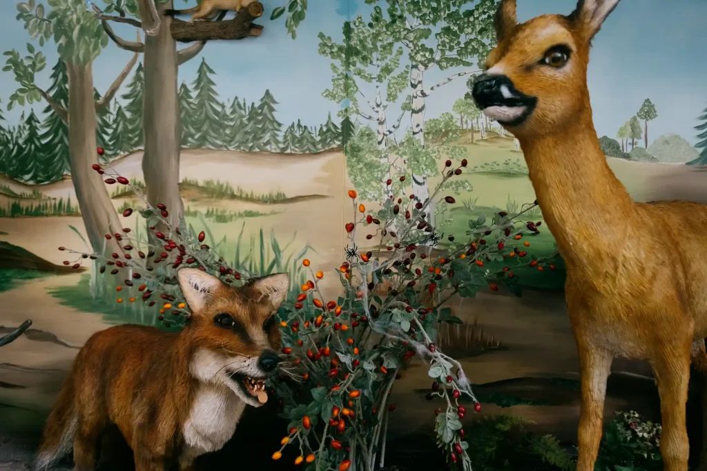 2024-07-08 Märchenwald Waldschule-2