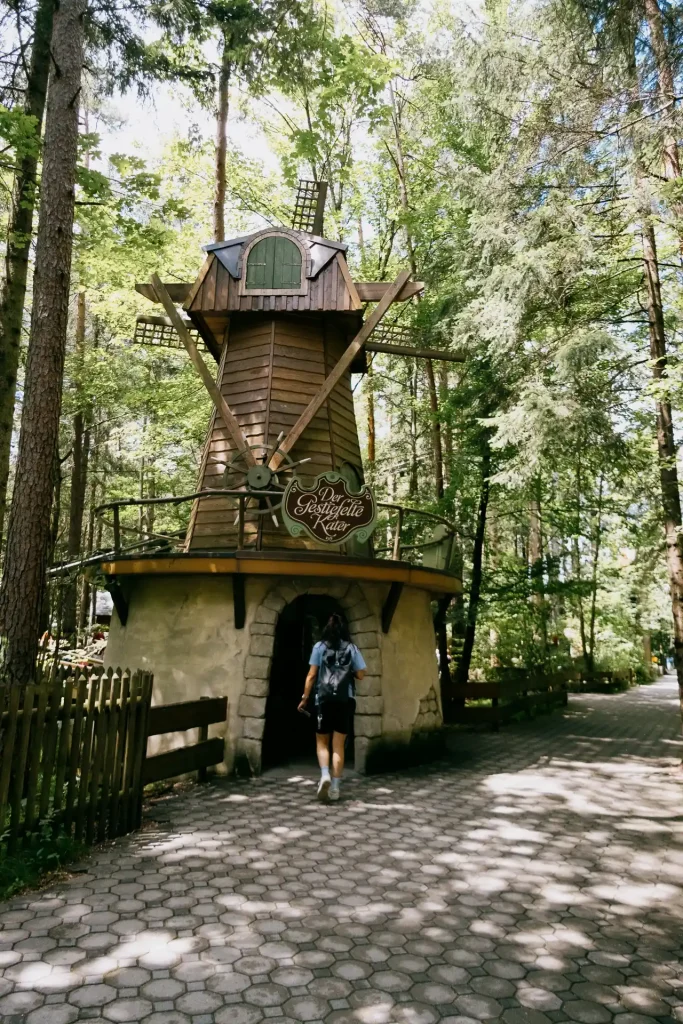 2024-07-08 Märchenwald Kater-1