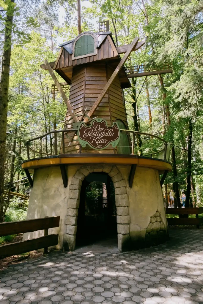 2024-07-08 Märchenwald Kater-2