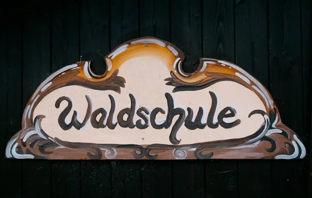 2024-07-08 Märchenwald Waldschule-1